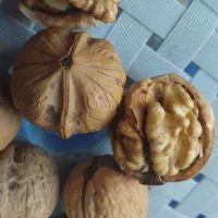 پخش روغن زرد گوسفندی وگاوی وکره دوغی. اسفراین|خوردنی و آشامیدنی|پاکدشت, حصار امیر|دیوار