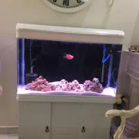 آکواریوم دلسا مدل k1000|ماهی|تهران, ابوذر|دیوار