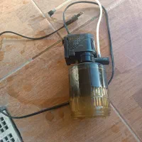 اکواریوم