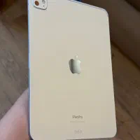 iPad Pro 2024 256GB|تبلت|اهواز, گلستان|دیوار