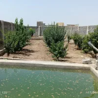 فروش باغ روستای هویه