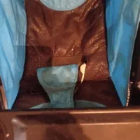 کالسکه|کالسکه و لوازم جانبی|اصفهان, بهارستان|دیوار