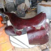 زین اسب|اسب و تجهیزات اسبسواری|حسن آباد, |دیوار