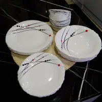 سرویس 24 پارچه آرکوپال