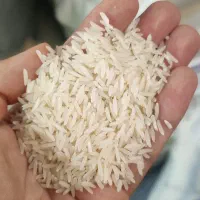 برنج خزر/فجر/برنج پرمحصول/شمال/خوش طعم