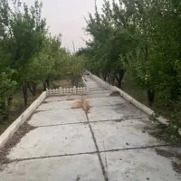باغ سپیدان هماشهر خلیلی|فروش زمین و ملک کلنگی|شیراز, کوی زهرا|دیوار