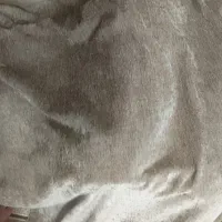 باسلام پرده مخمل تمیز وسالم به فروش میرسد|پرده، رانر، رومیزی|تربتحیدریه, بالا ولایت|دیوار