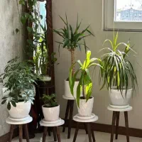 پایه گلدان صفحه گرد