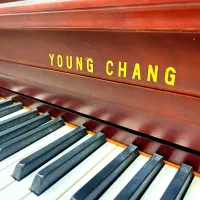 پیانو یانگ چانگ|پیانو، کیبورد، آکاردئون|کرج, شهر صنعتی|دیوار