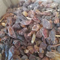 کشمش خشک|خوردنی و آشامیدنی|نجف‌آباد, امیرآباد|دیوار