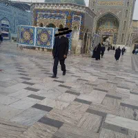 عزیمت به حرم امام رضا