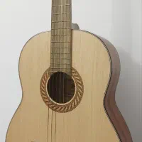 گیتار taylor ساخت آلمان|گیتار، بیس، امپلیفایر|تنکابن, |دیوار