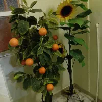 دو عدد گل تزیینی