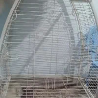 قفس پرنده بزرگ