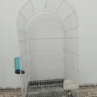 قفس پرنده