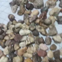 سنگ معدنی|کلکسیون اشیاء عتیقه|زاهدان, |دیوار