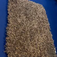 شگی|پادری|بندرعباس, |دیوار