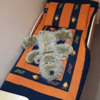 تخت کودک و نوجوان