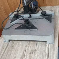 دم چلچله زن سالم