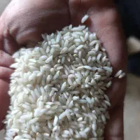 برنج عنبر بو درجه یک|خوردنی و آشامیدنی|شوشتر, |دیوار