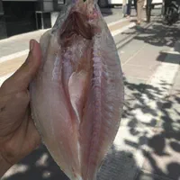 سفارش ماهی و میگو از بوشهر، تحویل درب منزل|خوردنی و آشامیدنی|تهران, بلورسازی|دیوار