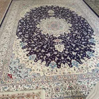 قالی ۱۲متری