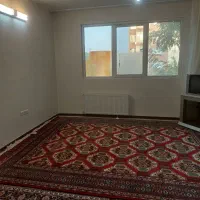 فرش دست بافت ترکمن|فرش|گلبهار, شهر جدید گلبهار|دیوار