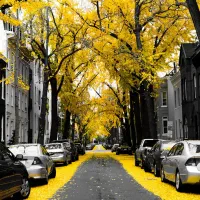 فروش مغازه ۴۶ متری در ۱۷ متری ملک