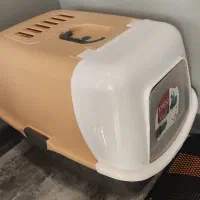 لوازم جانبی گربه|گربه|بومهن, |دیوار