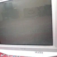 تلویزیون