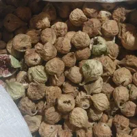 فروش انجیر درجه یک استهبان