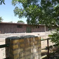 اجاره دامداری گوسفند