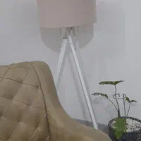 آباژور در حد نو