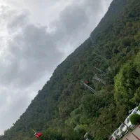 بلیط کنسرت حامیم