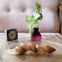 فروش حلزون آلبینو