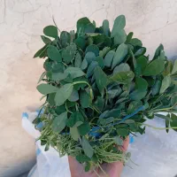 فروش انواع سبزیجات|خوردنی و آشامیدنی|جونقان, |دیوار