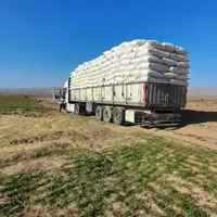 خرید کاه گندم بصورت عمده ویکجا پول نقد سرزمین|عمده‌فروشی|کرمانشاه, |دیوار