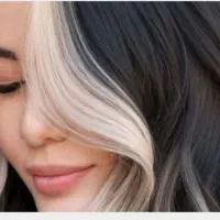 فیس فرم اسکاتلندی با قیمت استثنایی