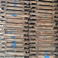 طبق زردآلو، سبد سفید، مشعل و گونی متری آلوچه