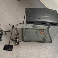 اکواریوم