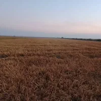 همسفر راهنما