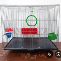 یک عدد قفس برای مرغ عشق