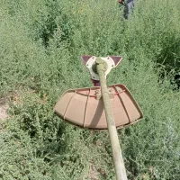 علف زنی باغ و حاشیه زنی