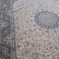 فرش در حد نو