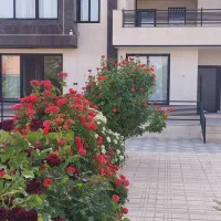 اجاره مغازه زرهی