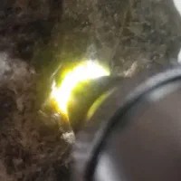 سنگ قیمتی|کلکسیون اشیاء عتیقه|رباط‌کریم, شهرک صنعتی سبلان|دیوار