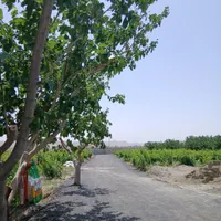 باغ وباغچه/۱۸۹متری/سندتک برگ/باغ قدیمی|فروش زمین و ملک کلنگی|تهران, یافت‌آباد|دیوار