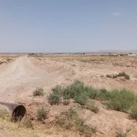 فروش زمین کشاورزی قیمت پایین در ایوانکی