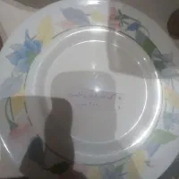 پیش دستی ارکوپال ویکتوریا فرانسوی جهت کسری|ظروف سرو و پذیرایی|تهران, جوادیه|دیوار