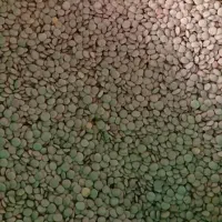 پخش حبوبات احمدی|خوردنی و آشامیدنی|رشت, شهرک قدس|دیوار